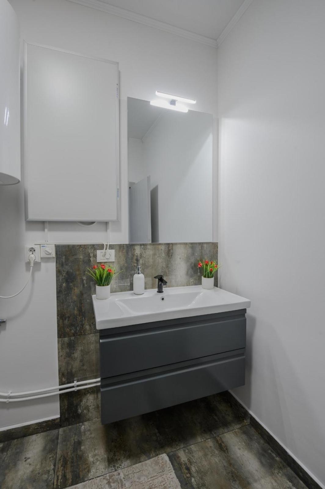 Apartament Radiana Băile Felix Εξωτερικό φωτογραφία