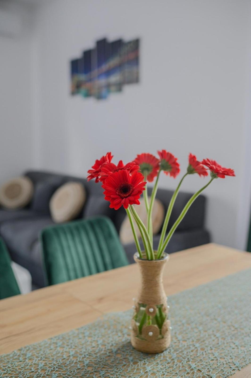 Apartament Radiana Băile Felix Εξωτερικό φωτογραφία